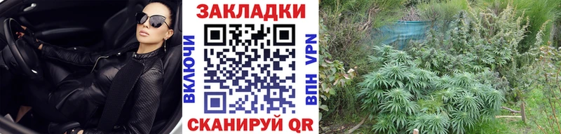 Сколько стоит Карабулак Псилоцибиновые грибы A PVP ГАШ Cocaine Канабис