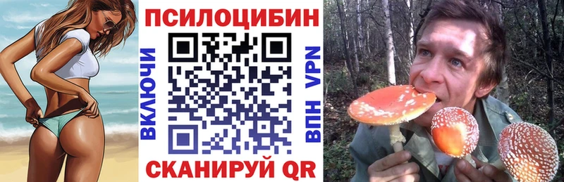 Галлюциногенные грибы Magic Shrooms  Карабулак 